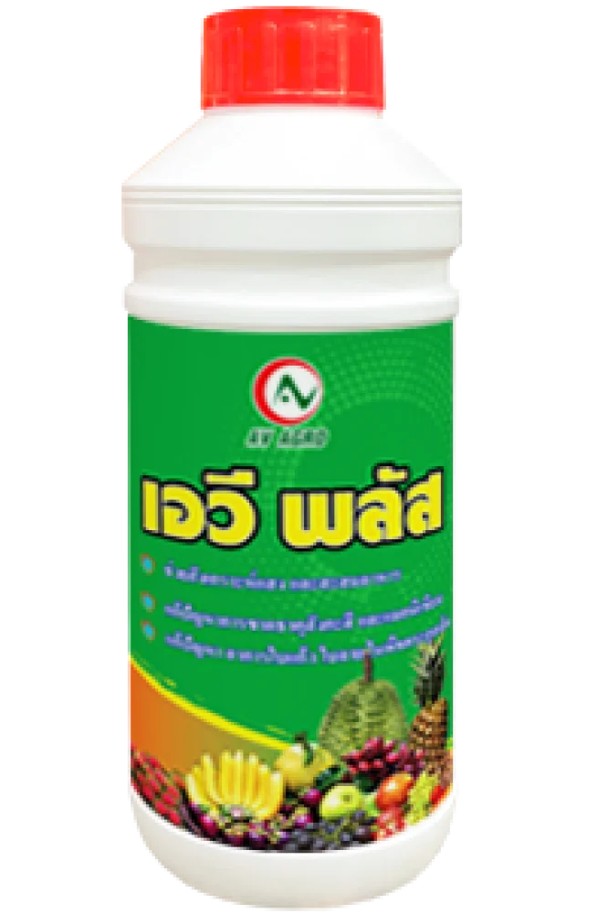 เอวี-พลัส